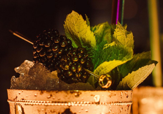 Luster Rotterdam crowdfunding 3.jpeg