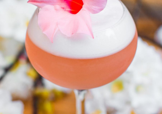 Luster Rotterdam crowdfunding 2.jpeg