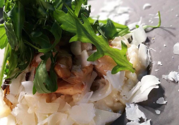 Horeca Crowdfunding Volle Maan 8.jpg