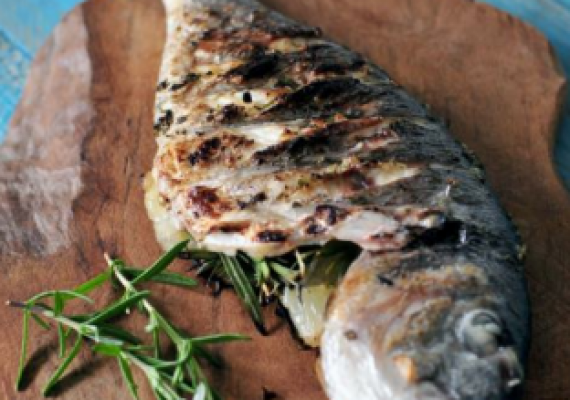 Maximiliano - HCN 6.png