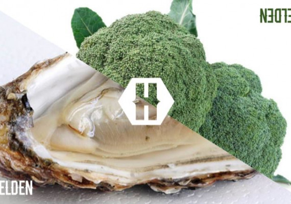 Helden crowfdunding 6.JPG