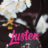 Luster Rotterdam crowdfunding 5.jpeg