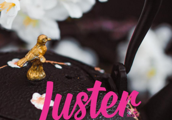 Luster Rotterdam crowdfunding 5.jpeg