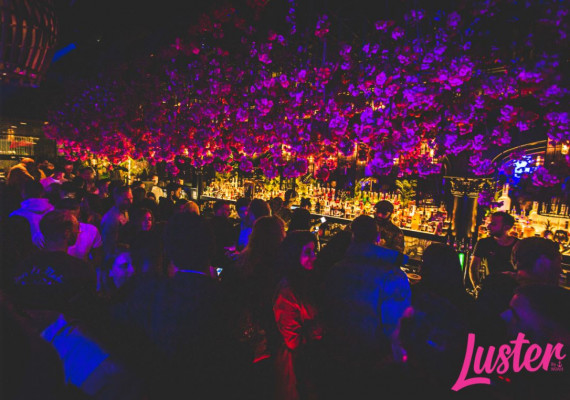 Horeca Crowdfunding Luster 20.JPG