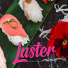 Luster Rotterdam crowdfunding 7.jpeg